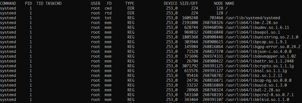 How to Check Open Files in Linux