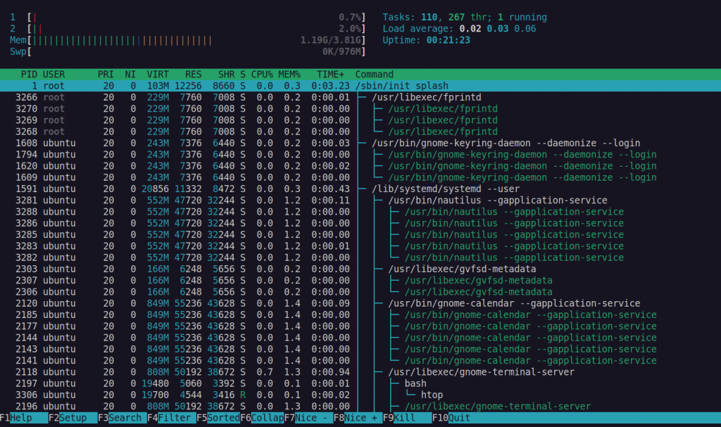 What Do the Colors Mean in Htop