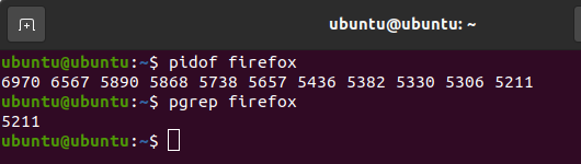 Causes Why Kill Would possibly No longer Paintings in Linux, Find out how to Unravel It? Causes Why Kill Would possibly No longer Paintings in Linux, Find out how to Unravel It? 1628659018 282 Reasons Why Kill May Not Work in Linux How to