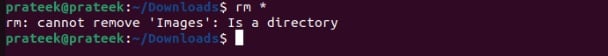 rm-command-output-if-you-delete-a-directory-through-it