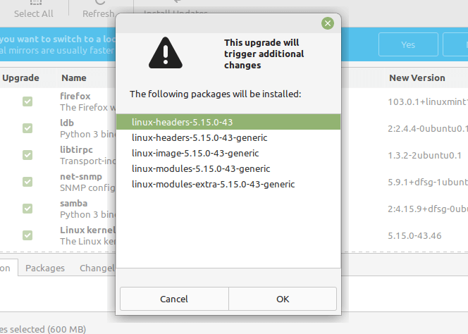 Linux Mint Package Updates